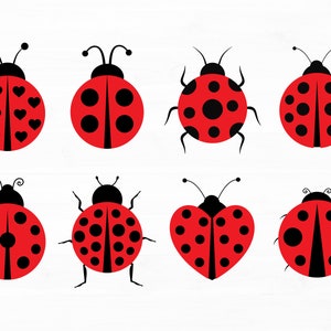 Coccinella Svg Bundle Coccinella Png Coccinella Vettore Coccinella Clipart Coccinella Svg File per Cricut Coccinella Cut File Download istantaneo