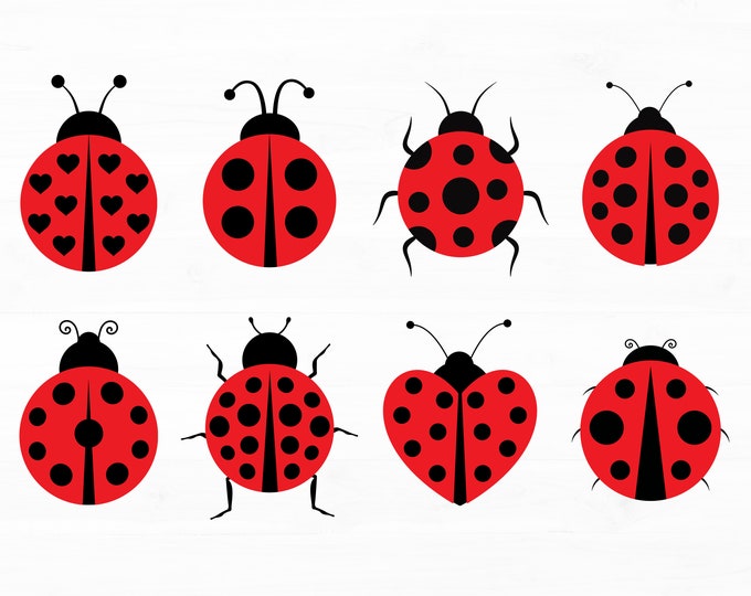 Ladybug Svg Bundle Ladybug Png Ladybug Clipart Ladybug Svg Files for ...