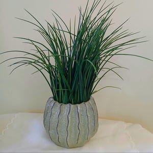 May include: A decorative, light green ceramic pot with vertical, wavy lines holds a cluster of long, green grass-like plants. The pot has a rounded shape and a textured surface, adding a touch of natural elegance to any interior space.