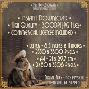 May include: A digital download of a printable image featuring a rabbit wearing a sailor hat and a vintage-style coat. The image is available in two sizes: 8.5 inches by 11 inches (2550 x 3300 pixels) and 21 cm by 29.7 cm (2480 x 3508 pixels). The image is high quality and includes a commercial license.