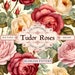 Tudor Roses (set of 20), English Rose Pattern, Elizabethan Era, Digital ...
