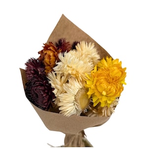 ANDALUCA Dried Strawflowers Mixed Mini Bundle