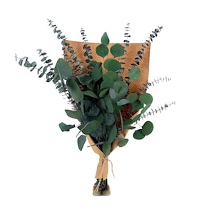May include: A bouquet of eucalyptus stems wrapped in brown paper with a twine bow.