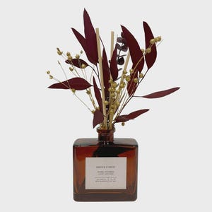 May include: A square amber glass reed diffuser bottle with a white label reading WINTER FOREST HAND POURED LUXURY DIFFUSERS. The bottle contains light-colored wooden reeds and a decorative arrangement of dark red leaves and gold-colored berries.