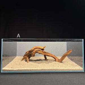 XL Nano Driftwood | Aquarium Aquascape | Malaysian Driftwood | Aquarium Design | Wood for Aquarium | Fish Tank | Natural Wood | Hardscape