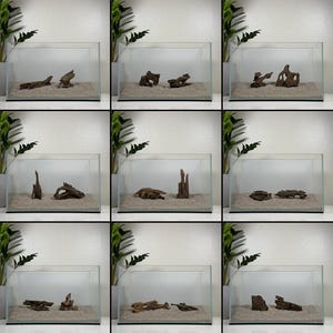 2Pc X-Small Dragon Driftwood | Aquarium Aquascape | Aquarium Design | Fish Tank | Natural Wood | Hardscape | Shrimp Wood