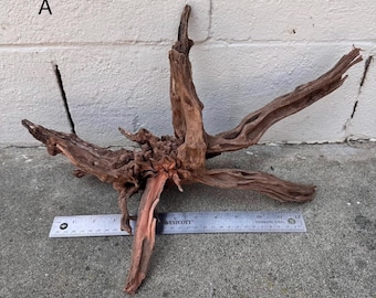 CLEARANCE XL Nano Driftwood | Aquarium Aquascape | Malaysian Driftwood |Aquarium Design | Wood for Aquarium | Natural Wood | Hardscape