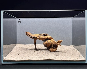Small Nano Root Driftwood | Aquarium Aquascape | Malaysian Driftwood | Aquarium Design | Wood for Aquarium | Fish Tank | Natural Hardscape