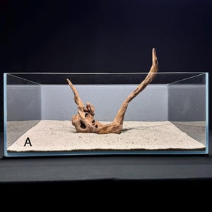 May include: A rectangular glass aquarium tank containing a light brown piece of driftwood with a textured, gnarled surface resting on a layer of fine beige sand. The letter A is printed in black on the lower left side of the sand base.