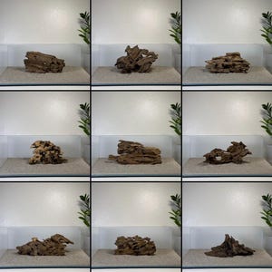 Med/Lg Nano Dragon Driftwood | Aquarium Aquascape | Aquarium Design | Wood for Aquarium | Fish Tank | Natural Wood | Hardscape | Shrimp Wood