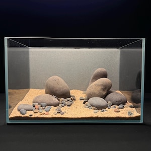 May include: A clear glass aquarium with a sandy base and various smooth, gray stones of different sizes. The background is a light gray, and the aquarium is empty, ready for aquatic life.