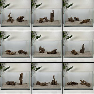 2pc XS/SM Dragon Driftwood | Aquarium Aquascape | Aquarium Design | Fish Tank | Natural Wood | Hardscape | Shrimp Wood