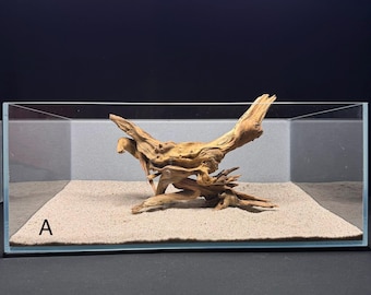 Large Root Driftwood | Aquarium Aquascape | Malaysian Driftwood | Aquarium Design | Wood for Fish Tank | Natural Wood | Hardscape