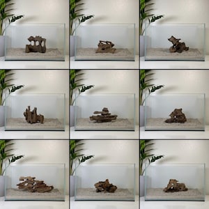 Medium Nano Dragon Driftwood | Aquarium Aquascape | Shrimp Wood | Aquarium Design | Wood for Aquarium | Fish Tank | Natural Hardscape