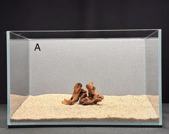 X-Small Nano Root Driftwood | Aquarium Aquascape | Malaysian Driftwood | Aquarium Design | Wood for Aquarium | Fish Tank | Natural Hardscape