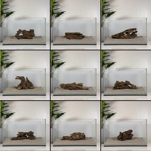 SM/MD Nano Dragon Driftwood | Aquarium Aquascape | Aquarium Design | Wood for Aquarium | Fish Tank | Natural Wood | Hardscape | Shrimp Wood