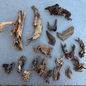 CLEARANCE Driftwood | Aquarium Aquascape | Malaysian Driftwood | Dragon Wood |Aquarium Design | Wood for Aquarium | Natural Wood | Hardscape