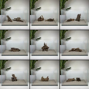 Small Nano Dragon Driftwood | Aquarium Aquascape | Shrimp Wood | Aquarium Design | Wood for Aquarium | Fish Tank | Natural Hardscape