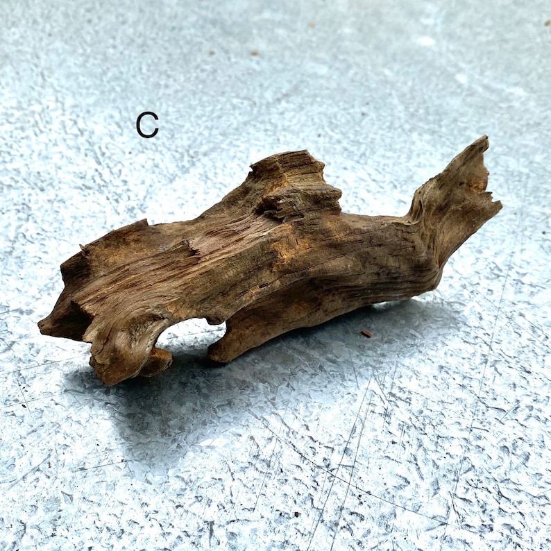 Dragon Driftwood Aquarium Aquascape Malaysian Driftwood Aquarium Design