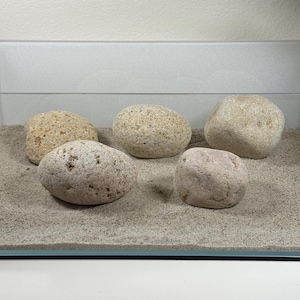 Large Mexican Beach Stones for Nano Tank | Rock Scape | Aquarium Aquascape | Natural Hardscape | Nano Tank Scape