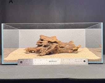 Large Nano Dragon Driftwood | Aquarium Aquascape | Aquarium Design | Wood for Aquarium | Fish Tank | Natural Wood | Hardscape | Shrimp Wood