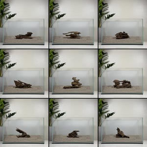 Small Nano Dragon Driftwood | Aquarium Aquascape | Shrimp Wood | Aquarium Design | Wood for Aquarium | Fish Tank | Natural Hardscape