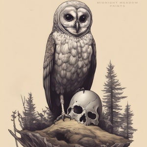Owl Tattoo png images  PNGWing