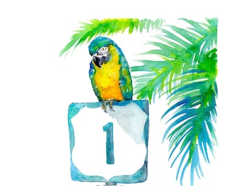 A Parrot Looks at 40 , watercolor art print, pirate looks at 40, Jimmy Buffett, Parrothead, Key West, Key West art print, Florida Keys art