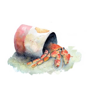 Crab in Shell (art print), hermit crab, evironmental art, beach art, tropical art, island artwork, seashore, beach life, watercolor