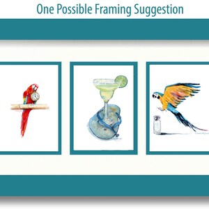 May include: Three watercolor paintings in a white mat and teal frame. The paintings depict a red and blue macaw holding a clock, a margarita in a glass on a flip-flop, and a blue and yellow macaw flying towards a salt shaker.