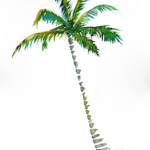 Palm Tree 3 Beach Art Print, Tropical art, Florida watercolor, beach decor, Island art, Canvas art, wall art, David K Jones