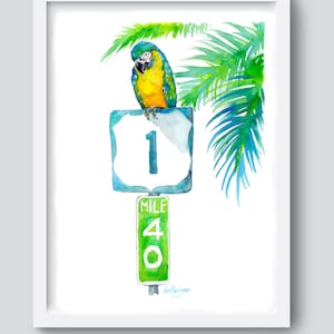 A white frame around a colorful watercolor of a parrot and palm tree on the the Florida Keys mile maker 40 by David K Jones.