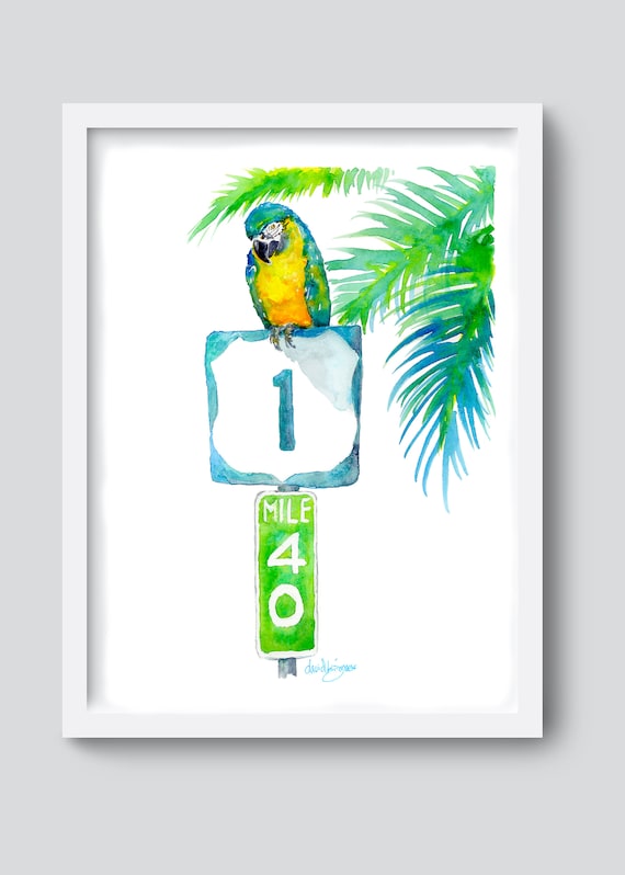 Parrot Looks at 40 Jimmy Buffett Art Print, Key West Florida Keys Art