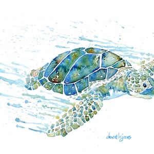 Seaweed-Top Flyer (Sea Turtle Art Print), sealife, aquatic art, watercolor, gulf art, Florida Key West, tropical, Jimmy Buffett, wall art