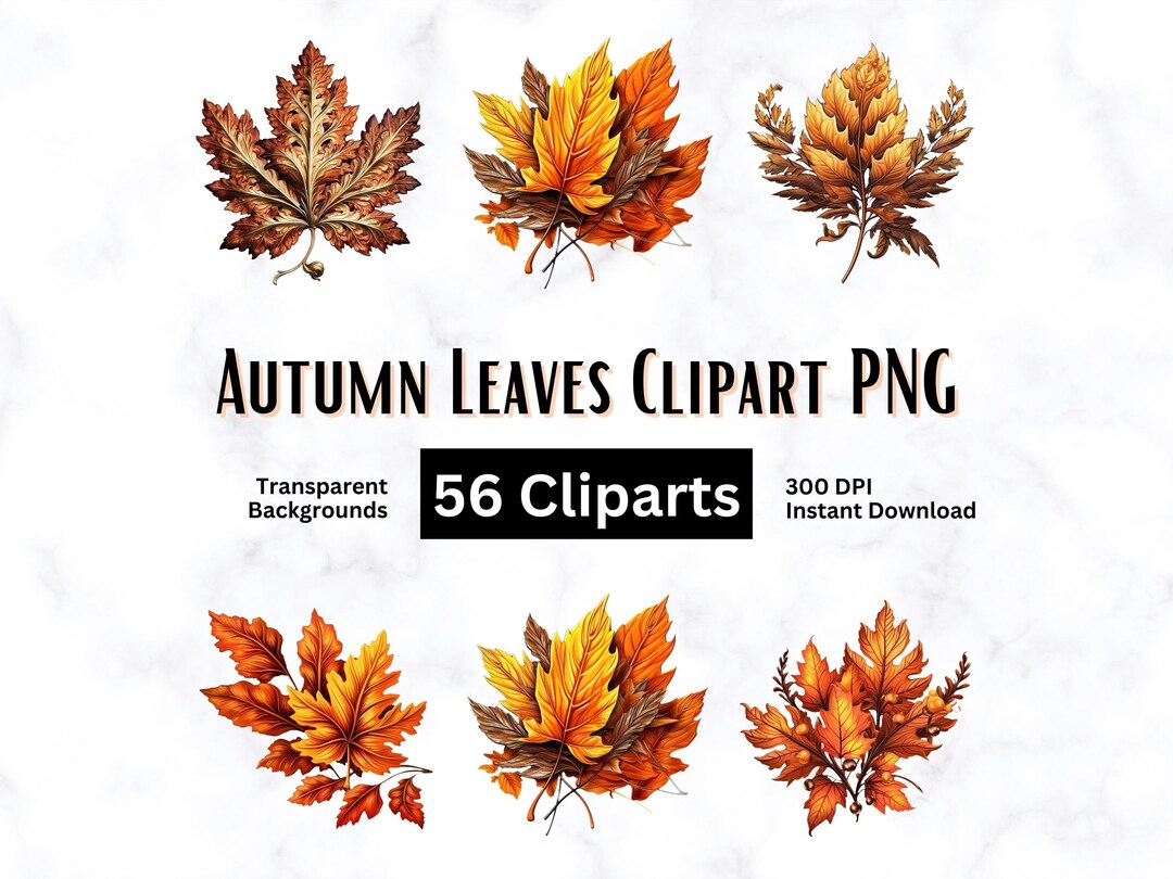 Autumn Leaf Clipart Bundle of 56 Artworks in PNG Transparent Background ...