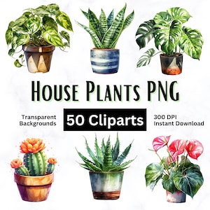 50 kamerplanten clipart, transparante PNG-achtergrond, commercieel gebruik, digitale clipart, Instant Download