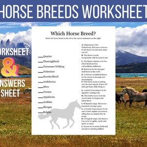 Horse Breeds Match Worksheet | Fun Summer Camp Activity | Horse Education |