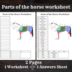 Parts of the Horse Worksheet