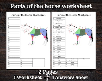 Parts of the Horse Worksheet