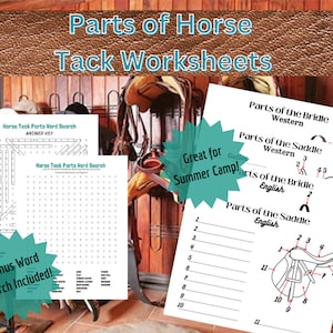 Horse Tack Worksheet | Tack Parts Diagrams Printable | Saddle & Bridle Parts Printable | English and Western Tack | Bonus Word Search