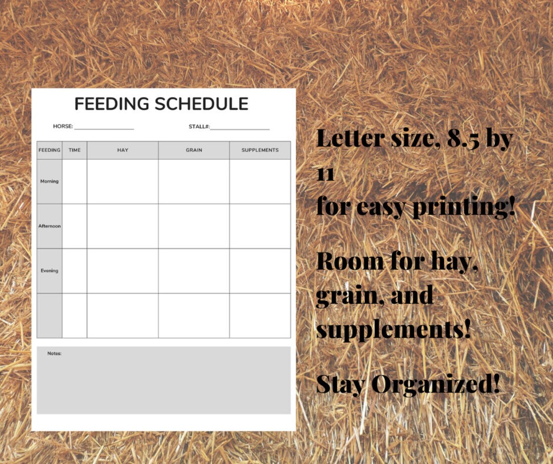 Horse Feeding Schedule Etsy