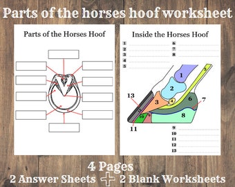 May include: A printable worksheet for learning about the parts of a horse's hoof. The worksheet includes two diagrams, one showing the exterior of the hoof and the other showing the interior. The diagrams are labeled with numbers and blank lines for students to fill in the names of the parts.