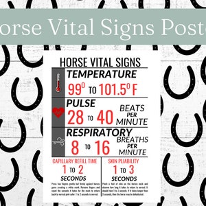 Horse Health Poster|Horse Vital Signs