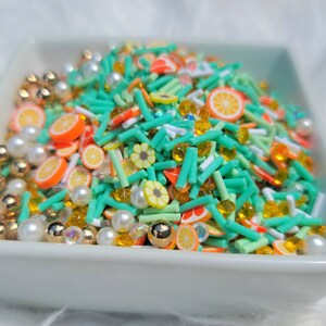 Orange Polymer Clay Slices Mix | Fruit Fimos | Fimo Mix | Polymer Clay Slices | Glitter | Miniature Sprinkles