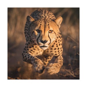 Cheetah Running Canvas Print: Wildlife Safari Animal Wall Art