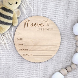 Baby Namensschild | Baby Ankündigung Schild mit Geburt Stats | Krankenhaus Name Reveal Schild | Personalisiertes Baby-Ankunfts-Zeichen | Baby Shower Geschenk