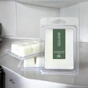 Eucalyptus + Spearmint Scented Wax Melts, Luxury Handmade Wax Melts, Highly Scented Coconut wax blend Melts, Cozy Strong Wax Melts