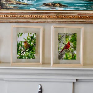 May include: Two framed prints featuring birds perched on tree branches. One print showcases a brown bird, while the other displays a vibrant red cardinal. The frames have a light wood finish, and the background is a mix of green foliage and sky.