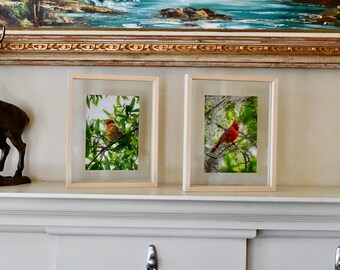 Bird Painting Set of Two Float Frame Wall Prints. Original Photography