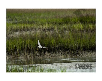 Great Egret Photography Printable Wall Art, Charleston South Carolina Marsh Landscape Print. Digital File for Download
